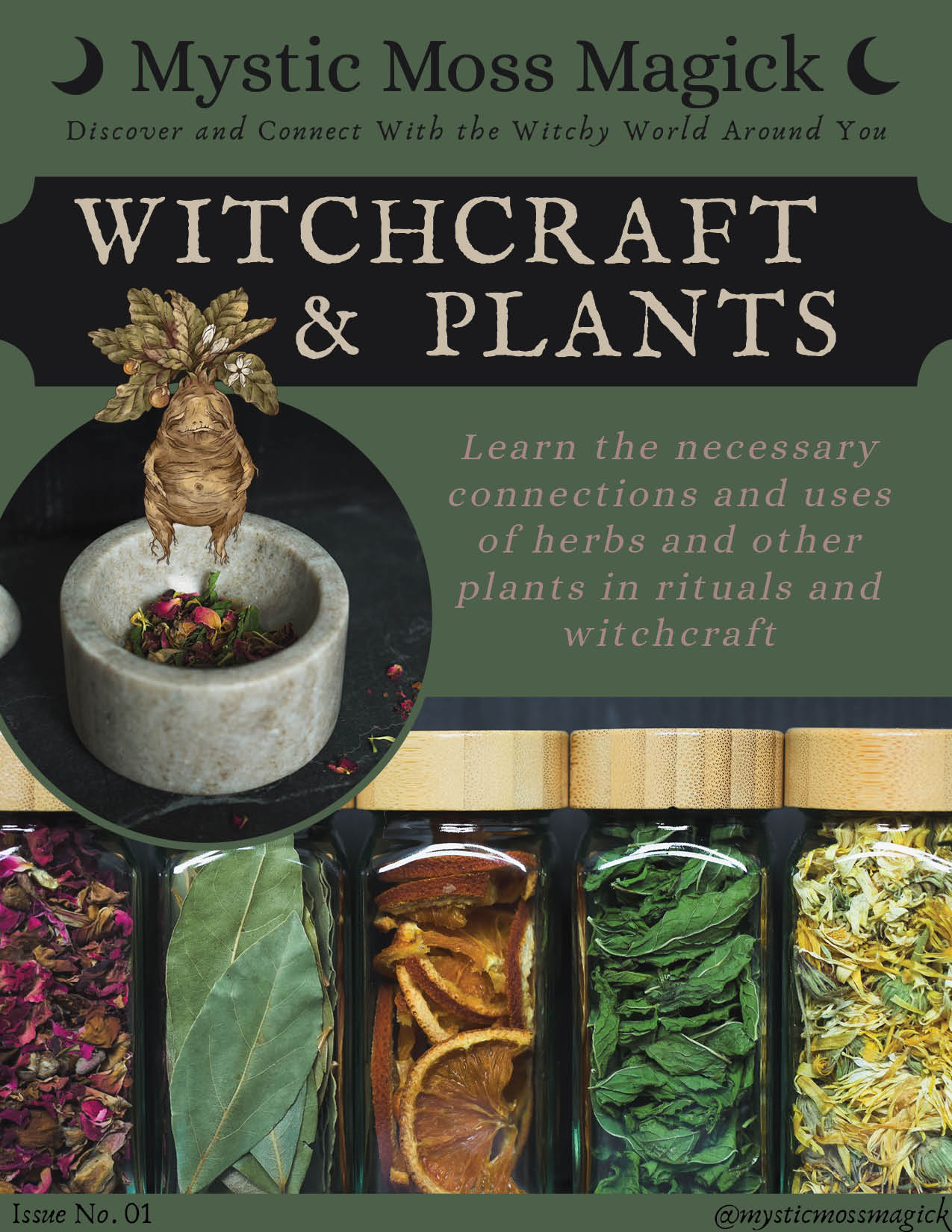 Cover of Witchcraft and plants Magazine with herbal-themed artwork and magical plant content.